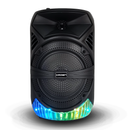karaoke system 10W RGB Disco LED light portable wireless Karaoke Speakers Best for Small Function